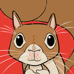 squirell